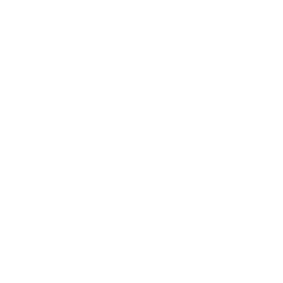 TopCar Logo